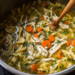 Instant Pot Chicken Noodle Soup